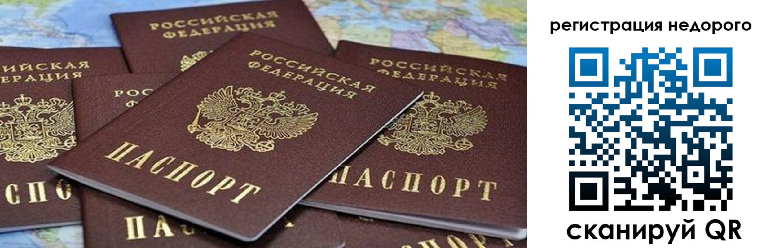 прописка штамп в Гатчине