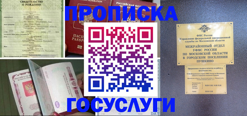 временная регистрация для всех в Гатчине